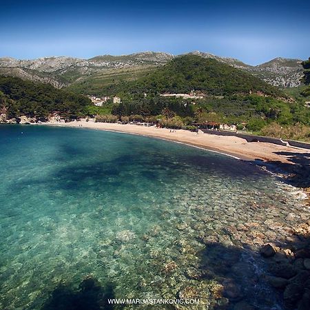Studio Apartment Nika Andusa Petrovac Εξωτερικό φωτογραφία