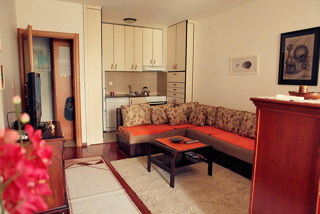 Studio Apartment Nika Andusa Petrovac Δωμάτιο φωτογραφία